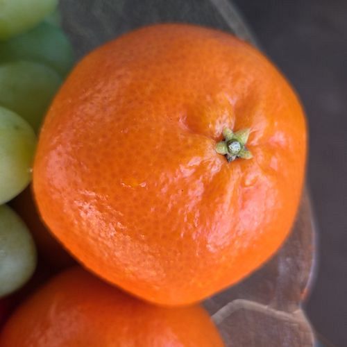Tangerineira - Tangerina Ponkan